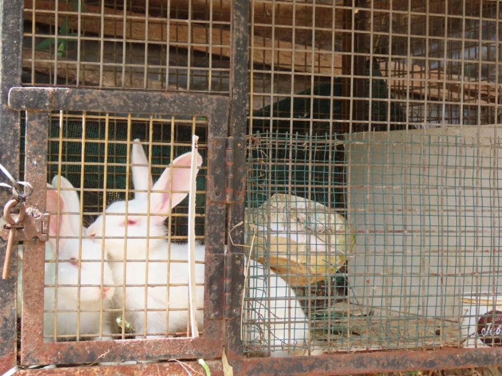 Spice Garden Farm House Sultan Bathery Εξωτερικό φωτογραφία